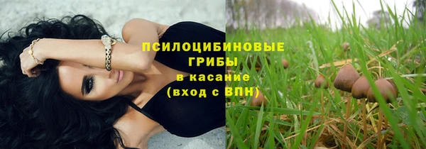 бошки Арсеньев