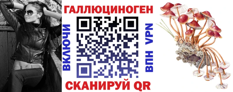 Псилоцибиновые грибы MAGIC MUSHROOMS  Пролетарск 